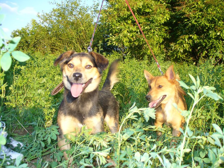 edo & rišo